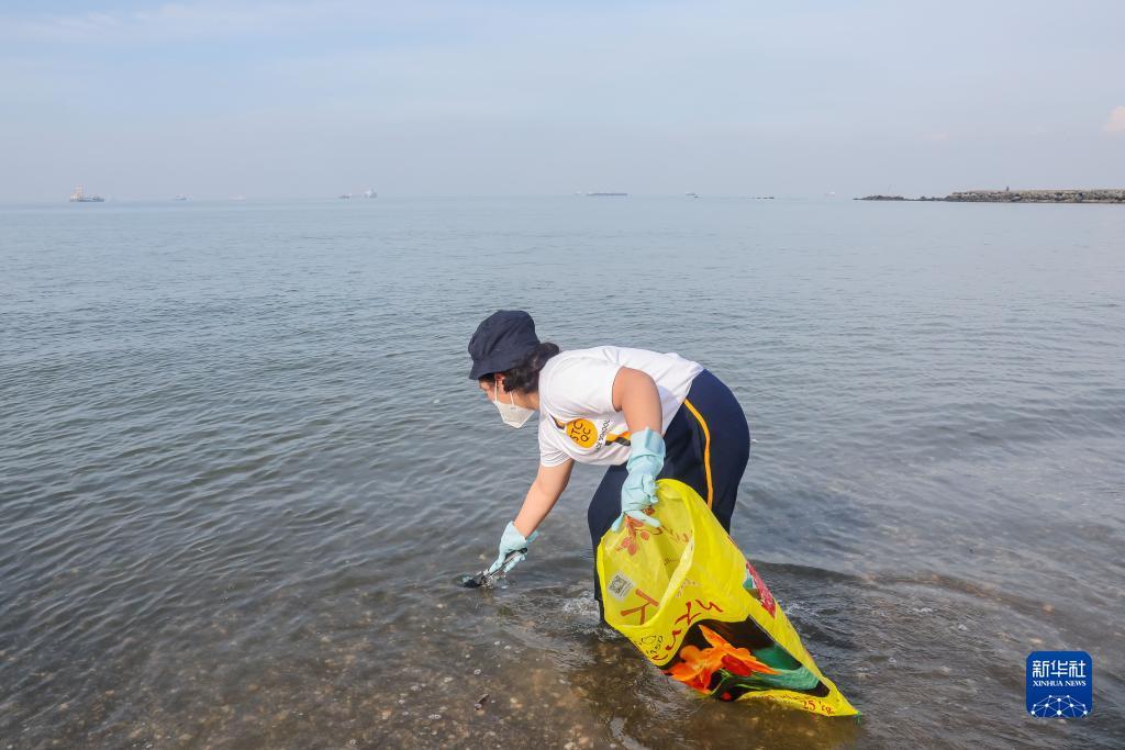 炸三张金花游戏下载不充钱